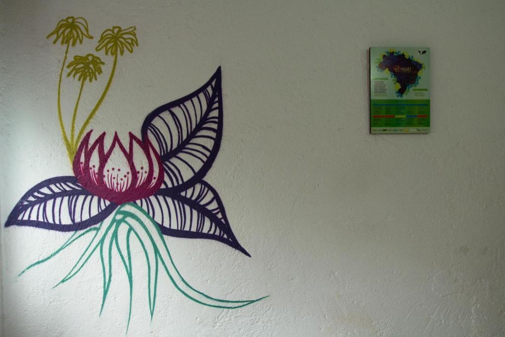 El Misti Hostel Ilha Grande Ilha Grande  Exteriér fotografie